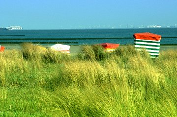 Sdstrand 
Borkum